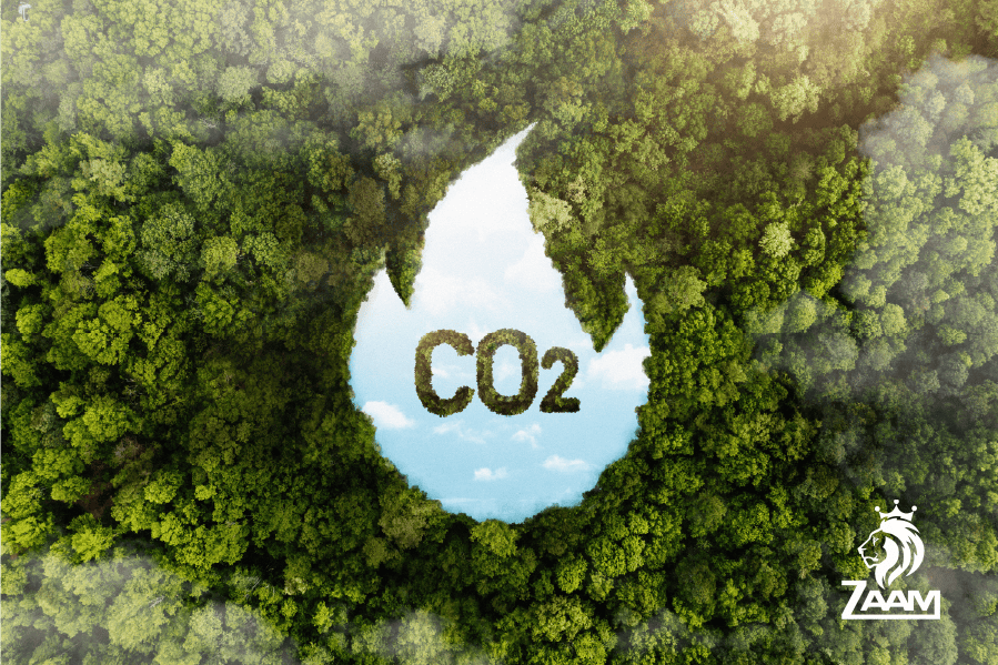 Reduces Carbon Footprint Over Time